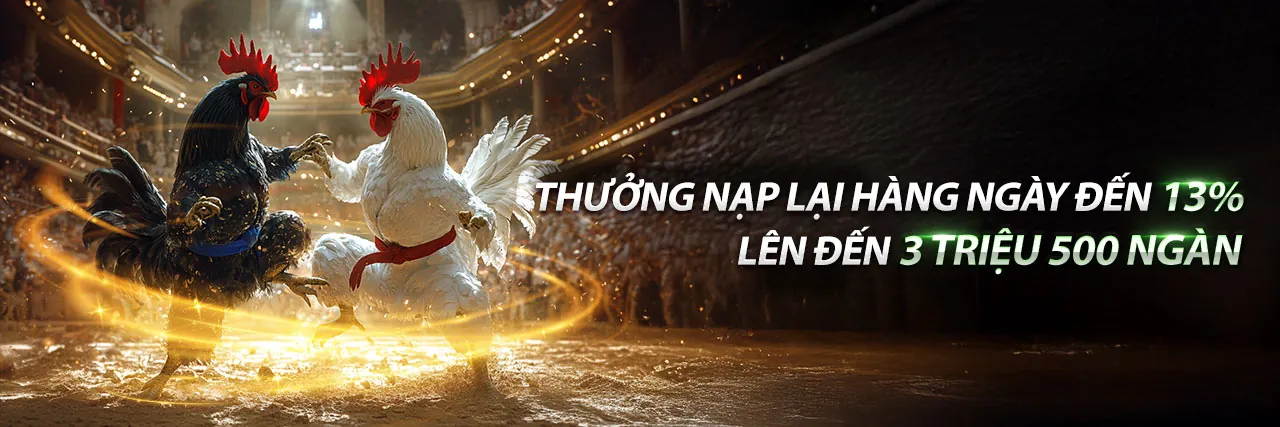 Đá Gà Trực Tuyến Hấp Dẫn tại Kubet777 Trang Chủ Chính Thức