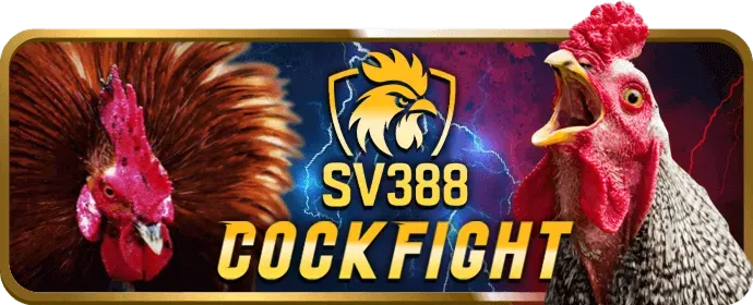 Giao diện biểu mẫu đăng ký an toàn của Kubet777
